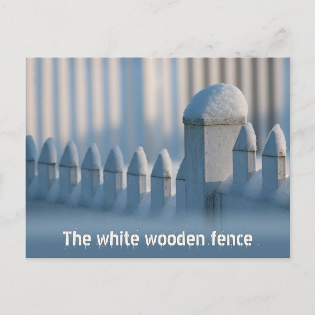 White wooden fence CC0684 Winter Sun Postcard (Front)