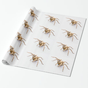 WHITE WRAPPING PAPER WITH ROWS OF SPIDERS.