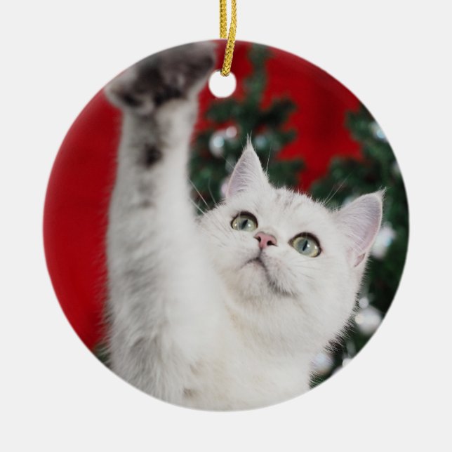White XMAS Cat Ceramic Ornament (Front)