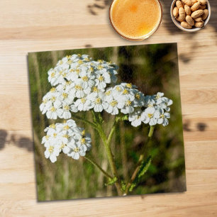 White Yarrow Blooming In Afternoon Sunlight Jigsaw Puzzle