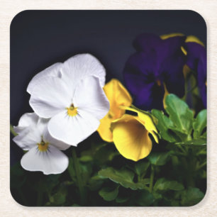 White Yellow and Purple Pansies Square Paper Coaster