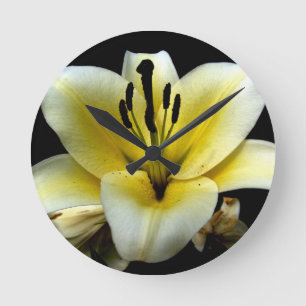 White Yellow Blossom on Black Background Floral Round Clock