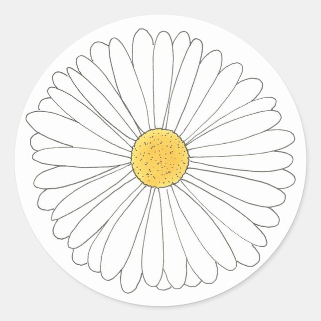 White Yellow Daisy Blossom Flower Garden Spring Classic Round Sticker (Front)