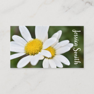 White Yellow Daisy Flower Daisies Nature Photo Business Card