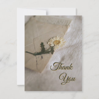 White & Yellow Daisy Vintage Letter Postcard