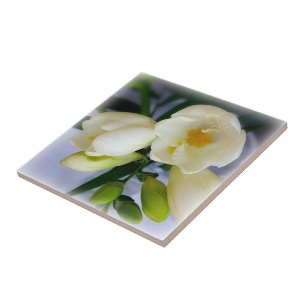 white yellow freesia ceramic tile
