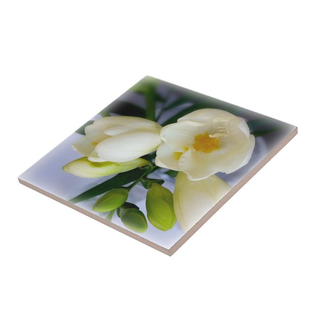 white yellow freesia ceramic tile (Side)