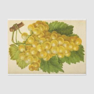 White Yellow Grape Wine Ephemera Decoupage Tissue Paper