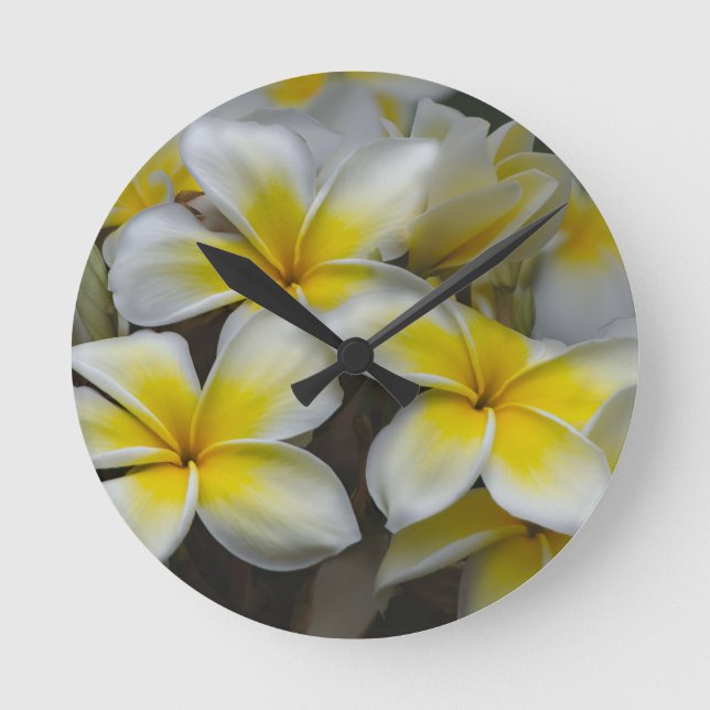 White Yellow Plumeria Round Clock (Front)