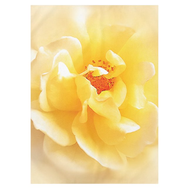 White Yellow Rose Soft Light Colours Tablecloth (Front)
