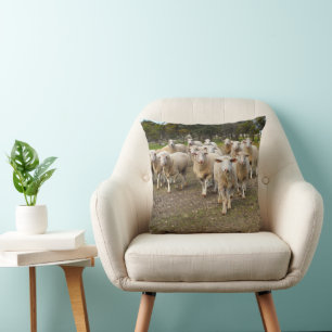 White Young Woolly Sheep, Cushion