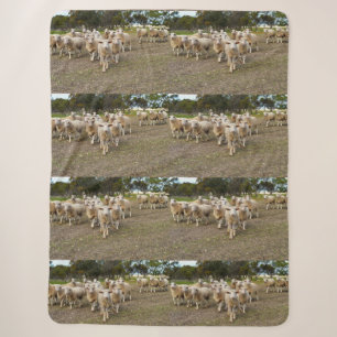 White Young Woolly Sheep, Sherpa Blanket