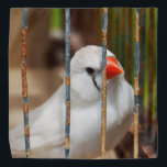 White Zebra Finch Bird in Cage Bandana<br><div class="desc">2023</div>