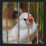 White Zebra Finch Bird in Cage Bandana<br><div class="desc">2025</div>