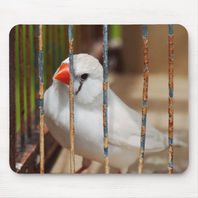 White Zebra Finch Bird in Cage Mouse Pad (Front)
