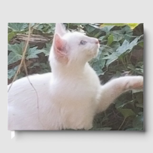 whitecat GuestBook (Front)