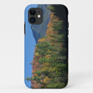 Whiteface Mountain over Little Cherrypatch Pond iPhone 11 Case
