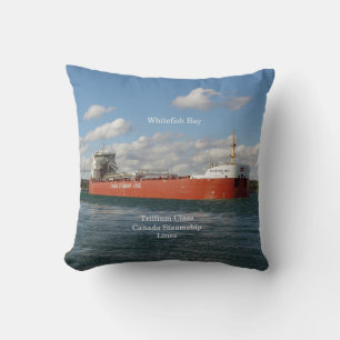 Whitefish Bay square pillow