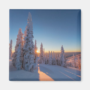 Whitefish, Montana Magnet