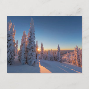 Whitefish, Montana Postcard