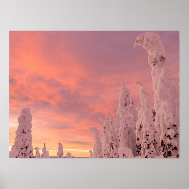 Whitefish Range | Whitefish, Montana Poster (Front)