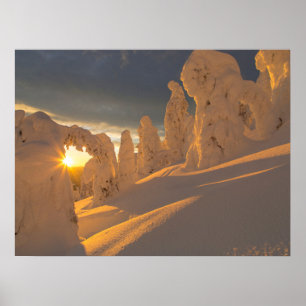 Whitefish Range Whitefish, Montana Poster