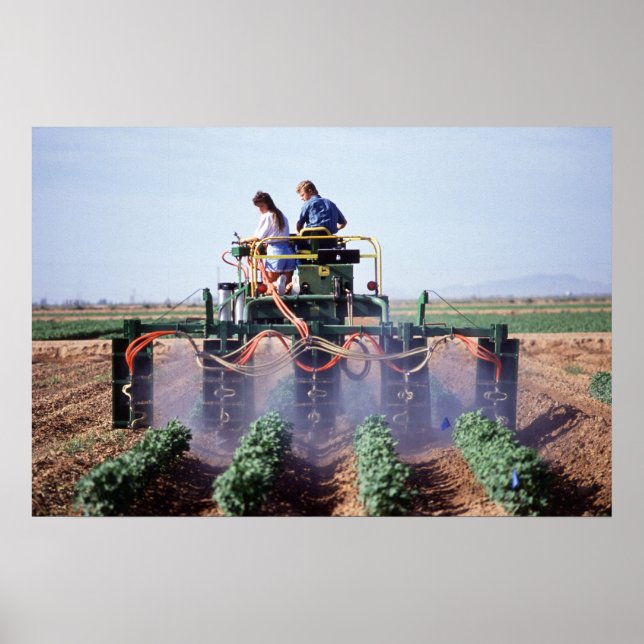 Whitefly control poster (Front)