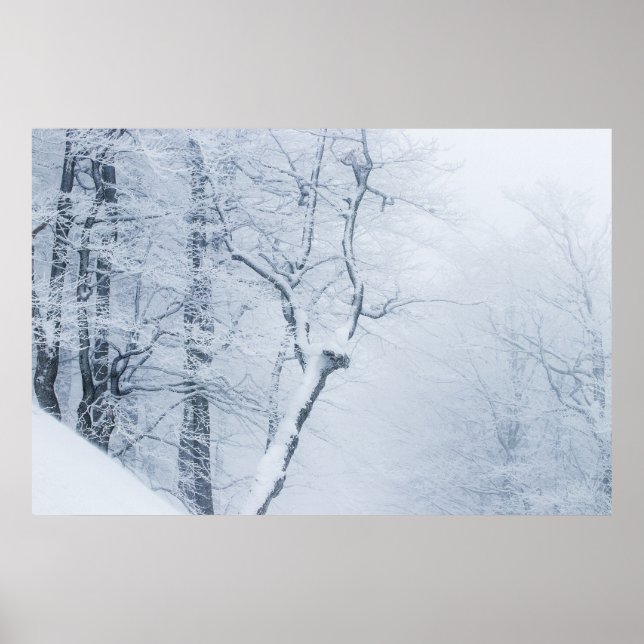 Whiteout Poster (Front)