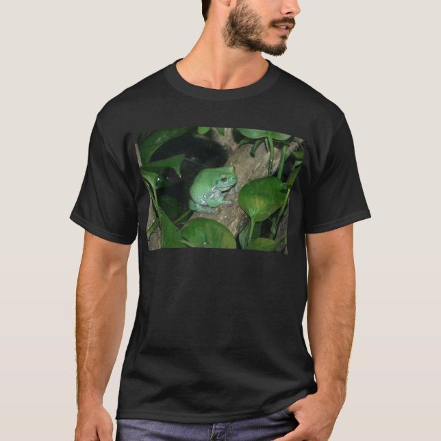 White's Tree Frog, Dumpy Frog T-Shirt (Front)