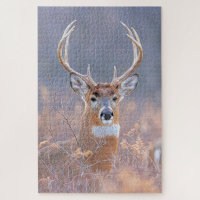 Whitetail Buck in Field Landscape Painting