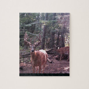 Whitetail buck in velvet jigsaw puzzle