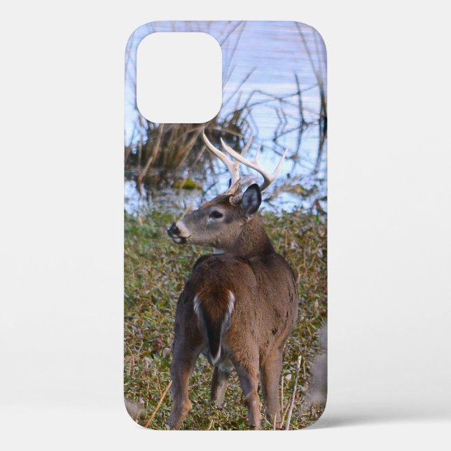 Whitetail Buck iPhone / iPad case (Back)