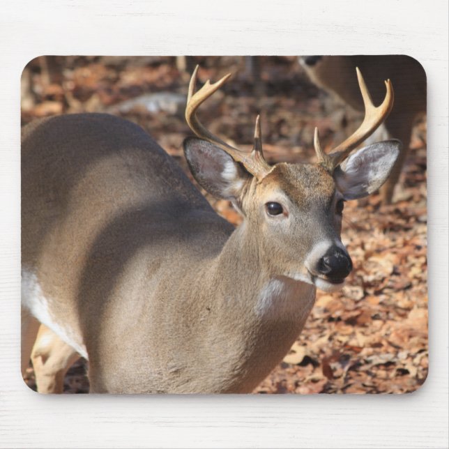 Whitetail Buck Mouse Pad (Front)
