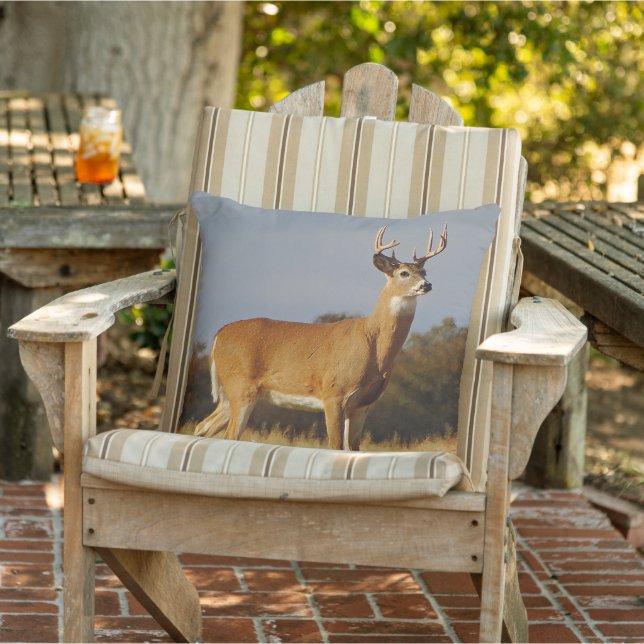 Whitetail Buck Outdoor Throw Pillow (Chair)