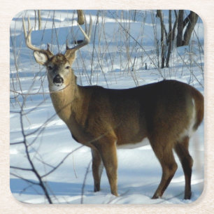 Whitetail Buck Winter Square Paper Coaster