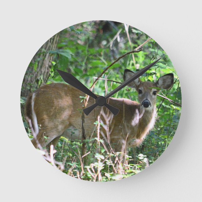 Whitetail Deer Acrylic Wall Clock (Front)