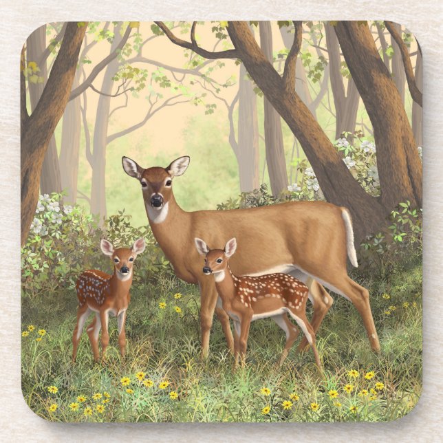 Whitetail Deer and Cute Twin Fawns In Spring Coaster (Front)