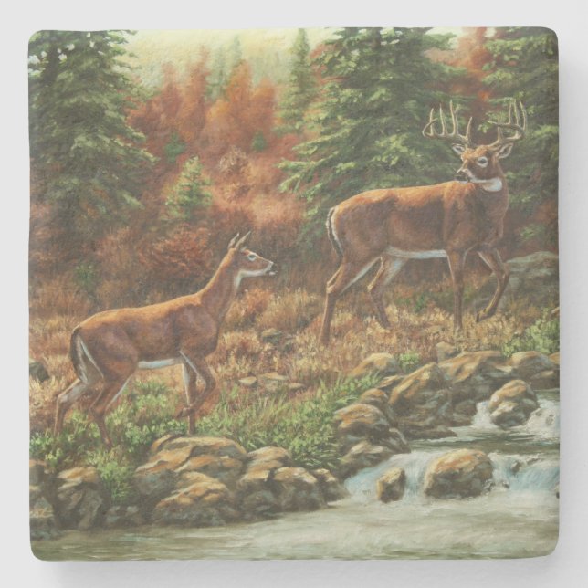 Whitetail Deer and Waterfall Stone Coaster (Front)