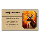 Whitetail Deer Autumn Gold