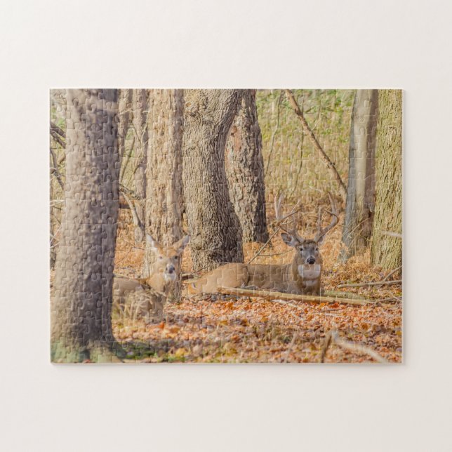 Whitetail Deer Buck And Doe Jigsaw Puzzle (Horizontal)