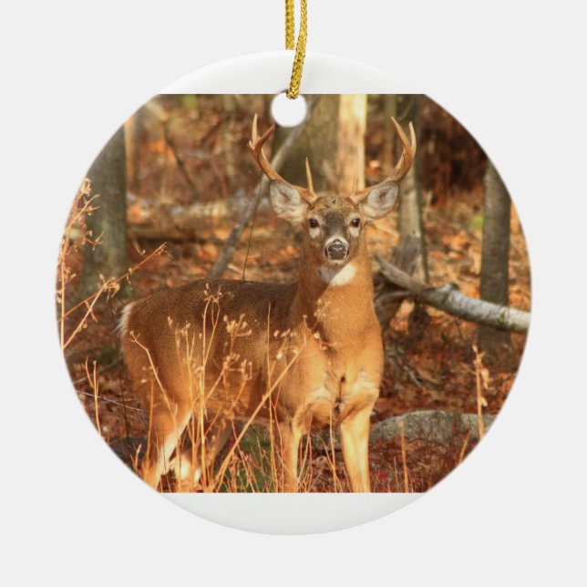 Whitetail Deer Buck Ceramic Tree Decoration (Front)