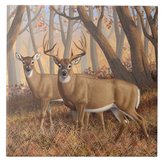 Whitetail Deer Buck & Doe Autumn Maple Woods Ceramic Tile (Front)