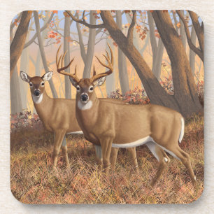 Whitetail Deer Buck & Doe Autumn Maple Woods Coaster