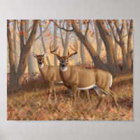 Whitetail Deer Buck & Doe Autumn Maple Woods