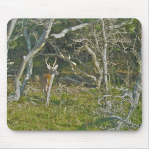 Whitetail Deer Buck OBX Mousepad