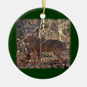 Whitetail Deer Buck Ornament to Personalise