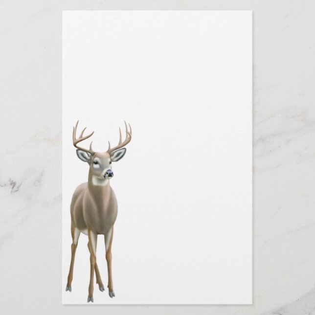 Whitetail Deer Buck Stationery (Front)