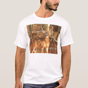 Whitetail Deer Buck T-Shirt