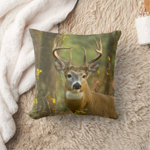 Whitetail Deer Buck Whitefish, Montana Cushion