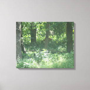 Whitetail deer canvas print